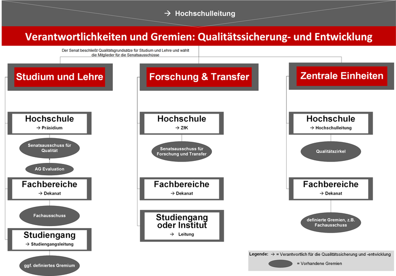 Overview of responsibilities and committees in quality management at the University of Applied Sciences Ludwigshafen
