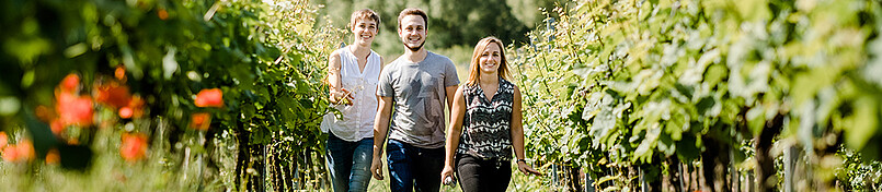 teaser wine campus three young people in the vineyard