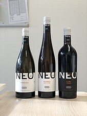 Three NEO wines of the Neustadt wine campus