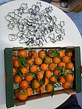 Mandarinen