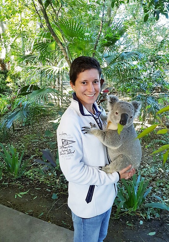 Auf Tuchfühlung mit einem Koala
