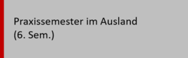 Praxissemester im Ausland