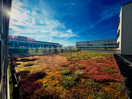 Blick auf die Hochschule aus einem Vorlesungsraum des A-Gebäudes