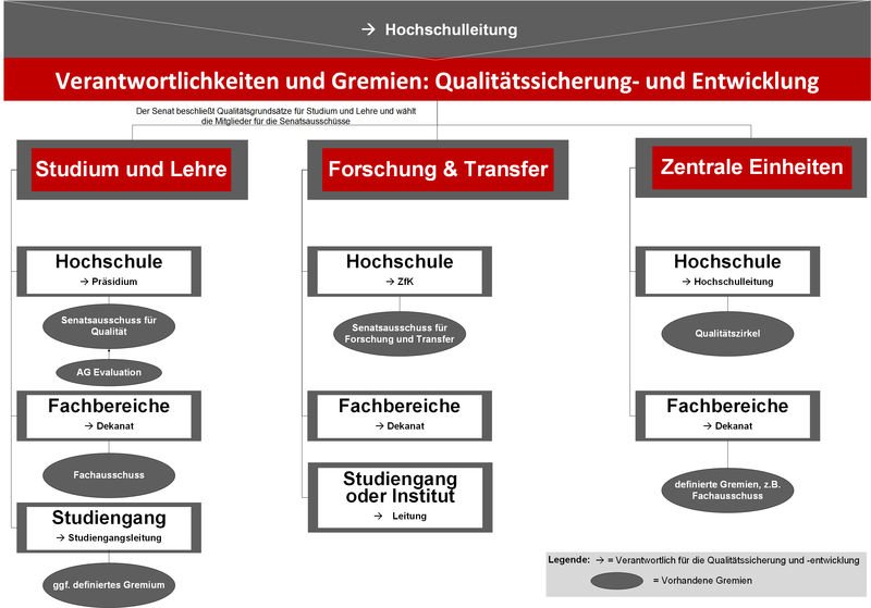 Übersicht über die Verantwortlichkeiten und Gremien im Qualitätsmanagement der Hochschule für Wirtschaft und Gesellschaft Ludwigshafen