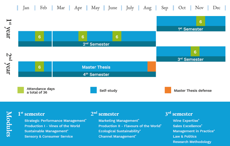 mba wine study plan