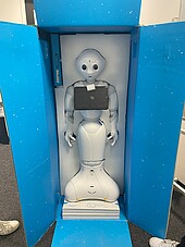 Pepper robot