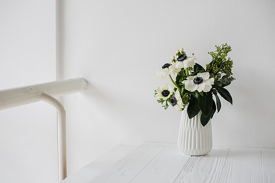 Gesundheitsversorgung IMÖVG