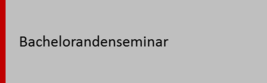 bachelorandenseminar