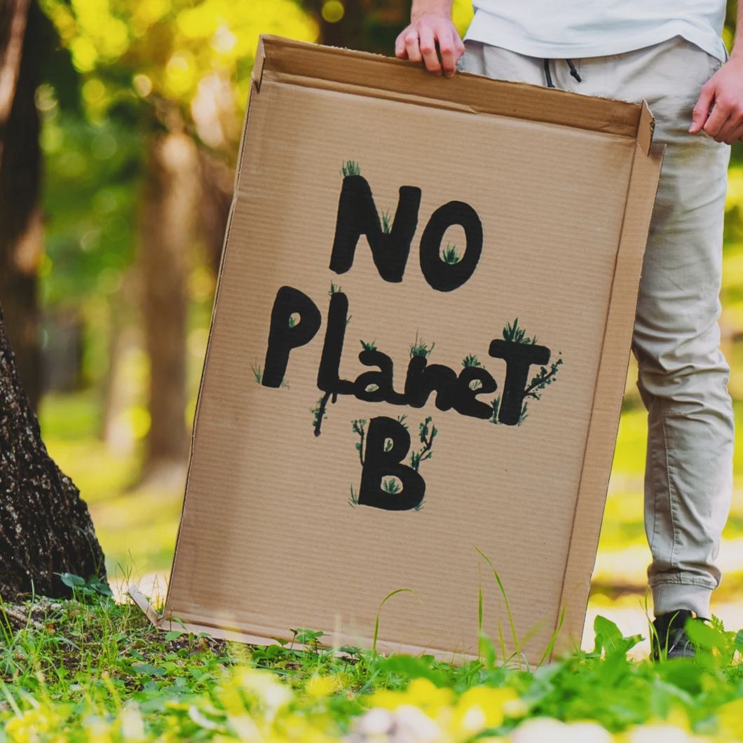 Pappschild mit Aufschrift No Planet B vor grünem Hintergrund