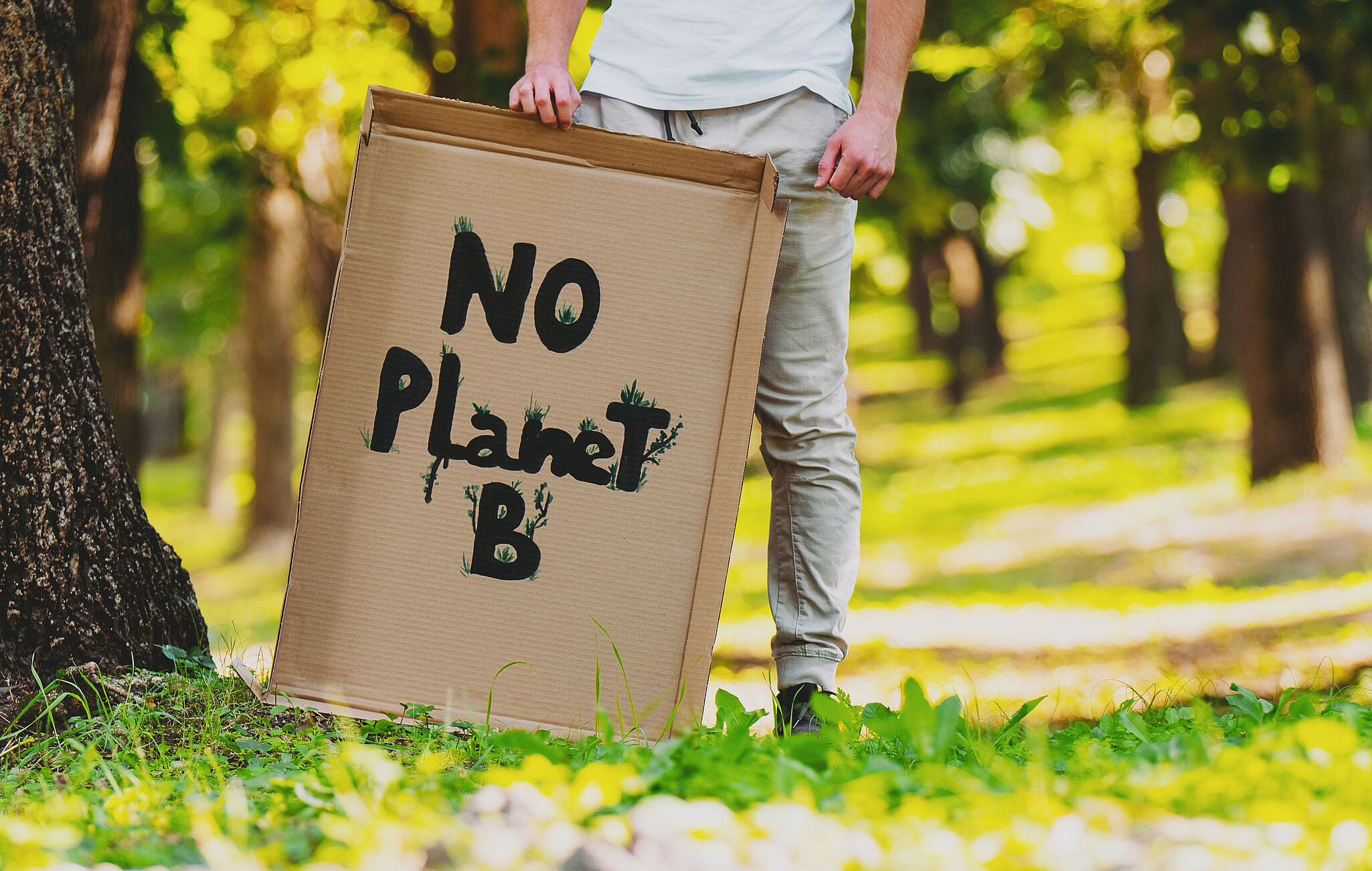 Cardboard sign with the inscription No Planet B against a green background