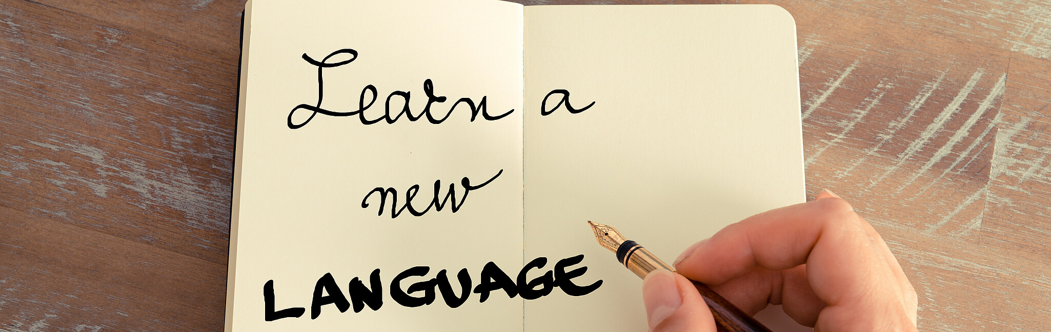[Translate to English:] Languages