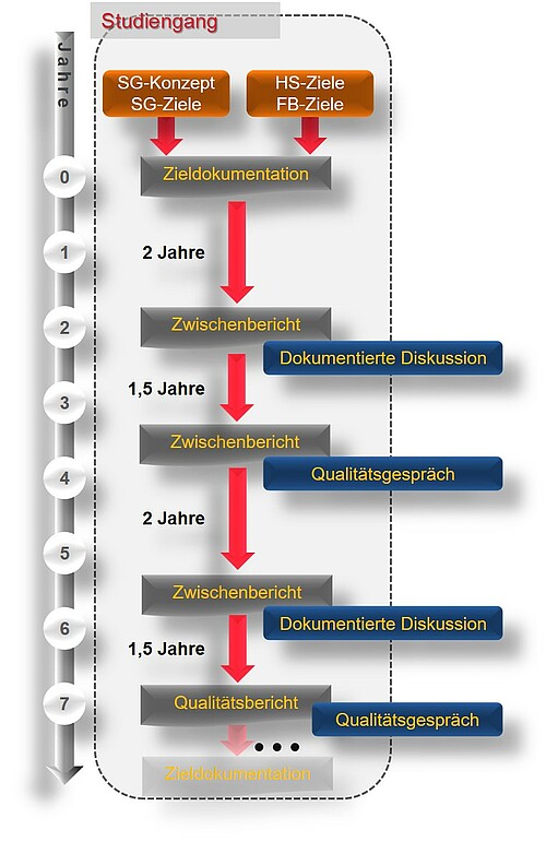 Process in the quality management of studies and teaching in adaptation to the program accreditation at the University of Applied Sciences Ludwigshafen