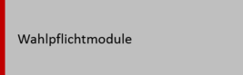 Elective modules