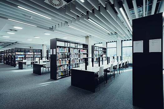 Bookshelves and workstations in the library