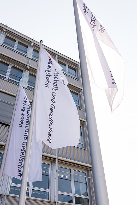 Flags in front of A building