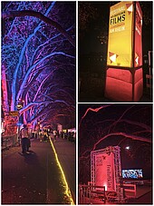 Collage aus atmosphärischen Außenaufnahmen im Dunkeln beim Filmfestival