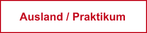Ausland und Praktikum