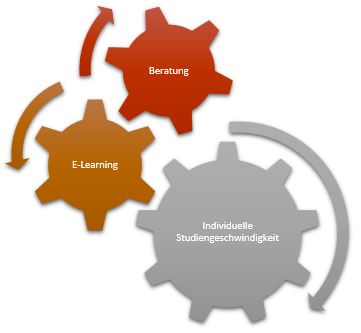 Zahnräder mit den Beschriftungen Beratung, E-Learning und individuelle Studiengeschwindigkeit