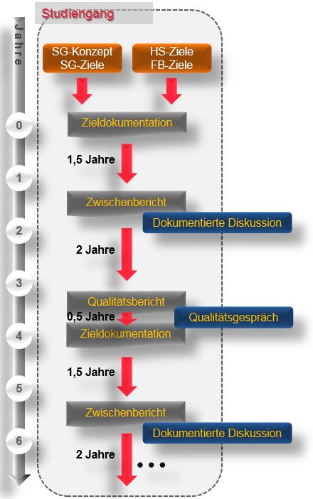 Regelprozess im Qualitätsmanagement von Studium und Lehre an der Hochschule für Wirtschaft und Gesellschaft Ludwigshafen